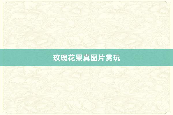 玫瑰花果真图片赏玩